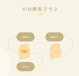 VIO脱毛プラン