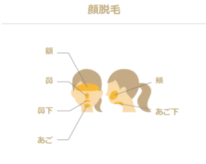 リゼクリニック顔脱毛